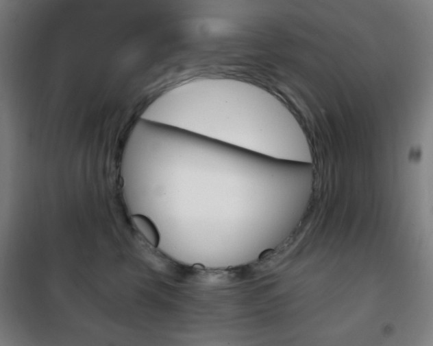 X0000101700569200807101348