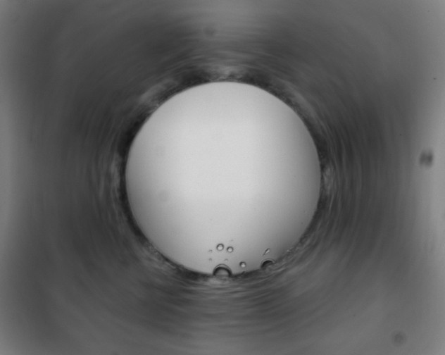 X0000101700570200807101348