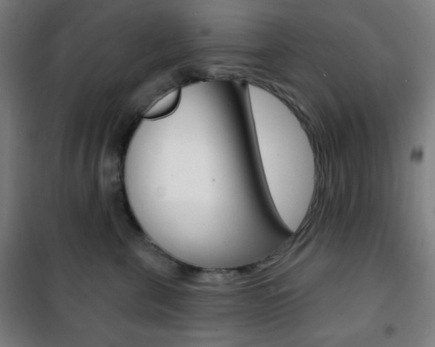 X0000101700571200807101348