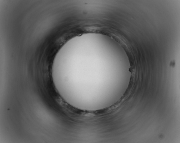X0000101700572200807101348