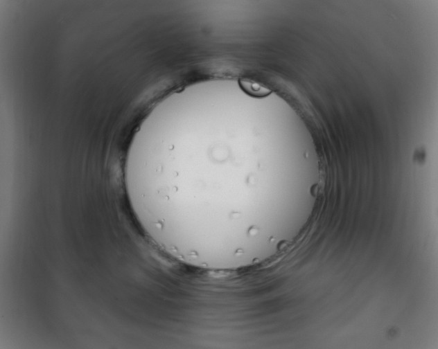 X0000101700573200807101348