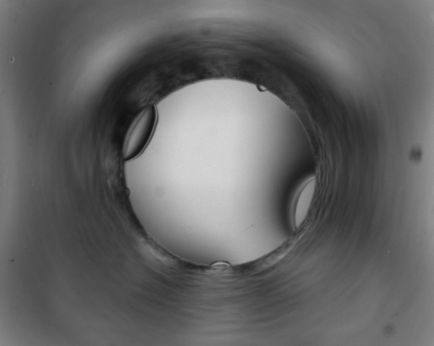 X0000101700574200807101348