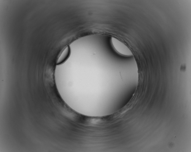 X0000101700575200807101349