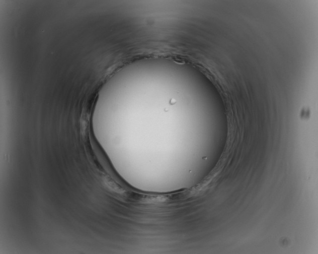 X0000101700576200807101349