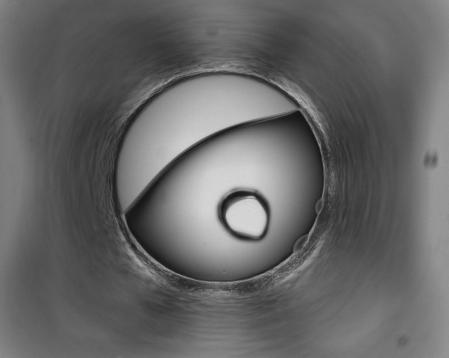 X0000101700577200807101348