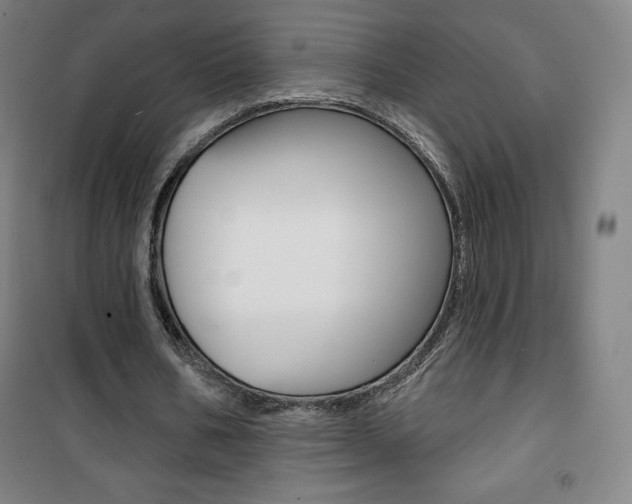 X0000101700578200807101348