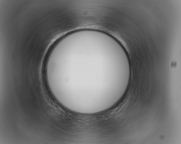 X0000101700579200807101348