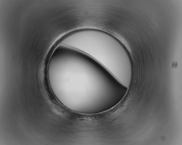 X0000101700580200807101348