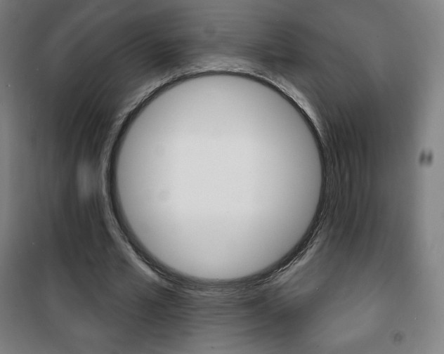 X0000101700581200807101348