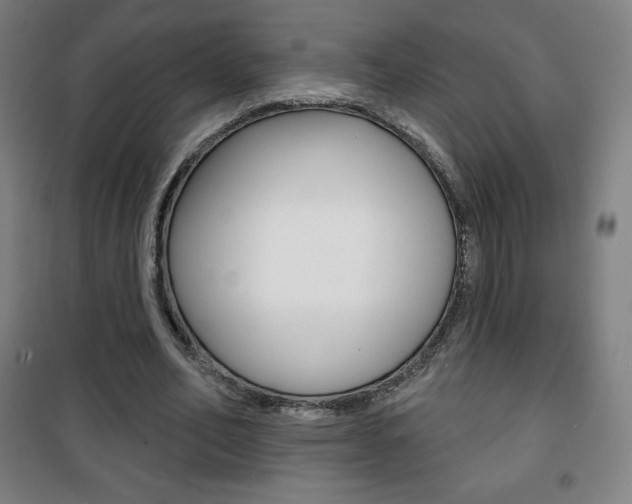 X0000101700582200807101348