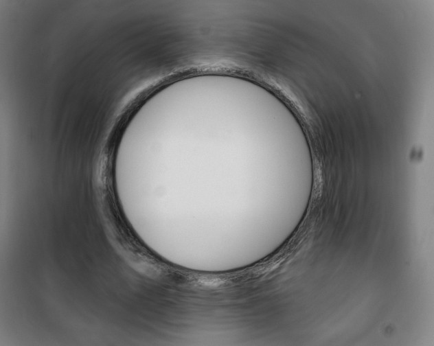 X0000101700583200807101348