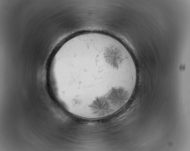 X0000101700584200807101348