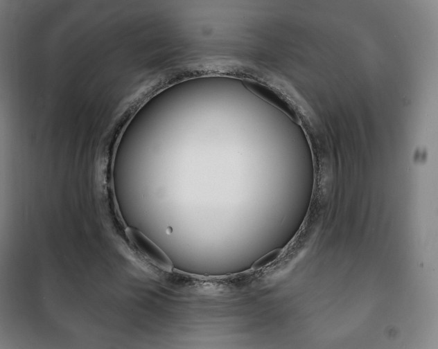 X0000101700585200807101348