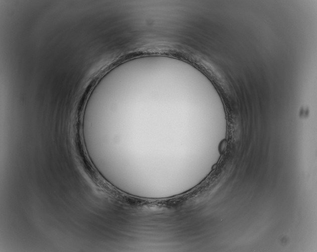 X0000101700586200807101348