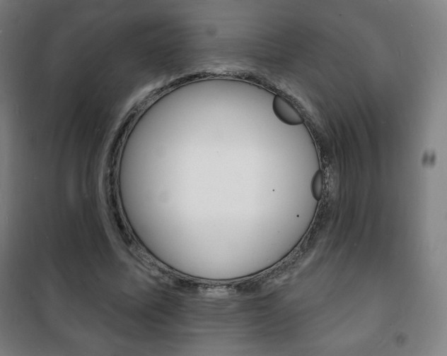 X0000101700587200807101348