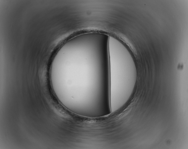 X0000101700588200807101348