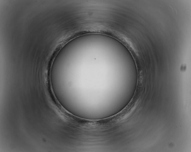 X0000101700589200807101348