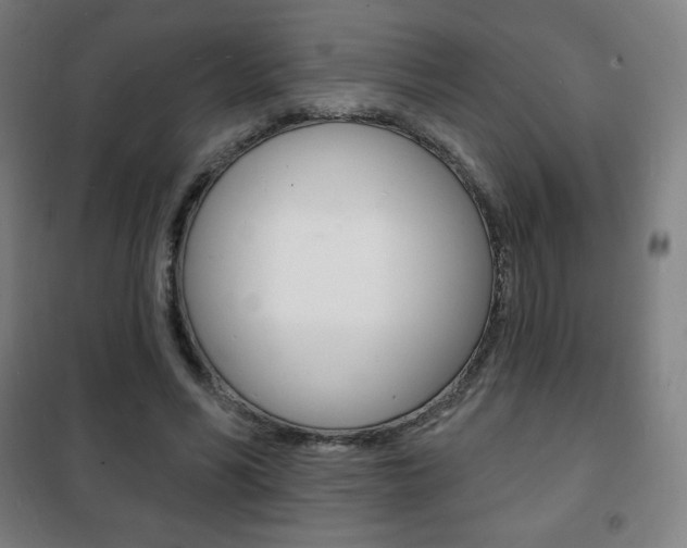 X0000101700590200807101348