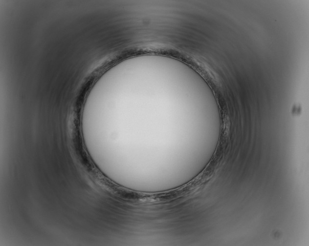 X0000101700591200807101348
