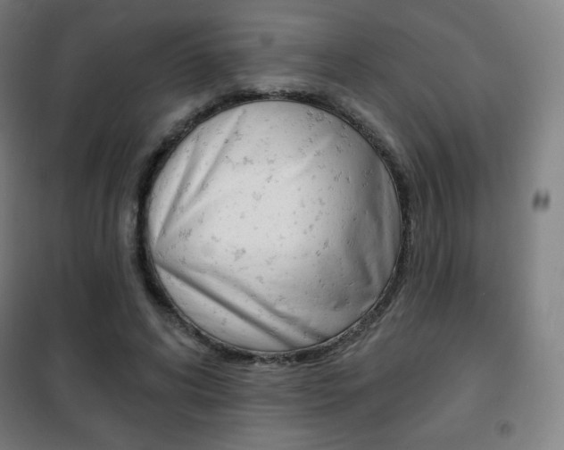 X0000101700592200807101348