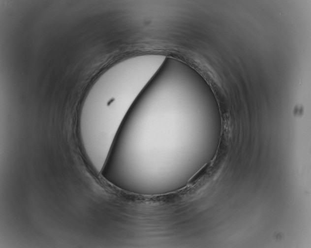 X0000101700593200807101348