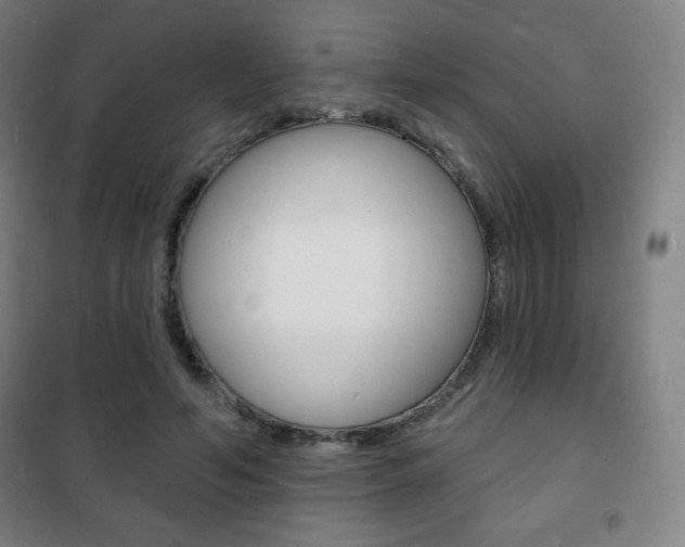 X0000101700594200807101348