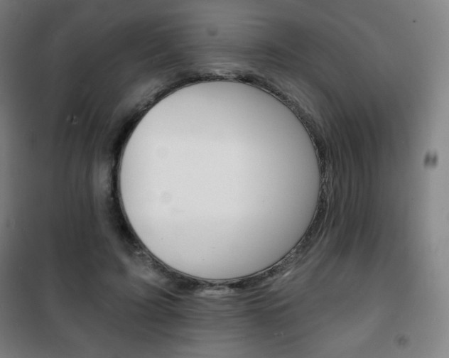 X0000101700595200807101348