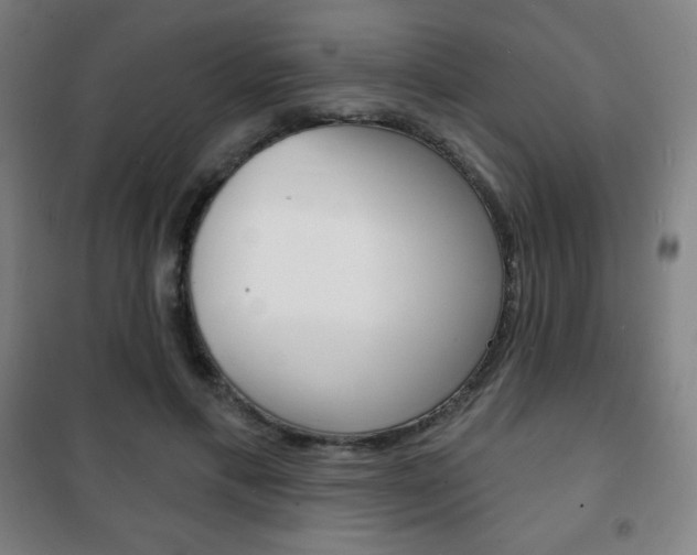 X0000101700597200807101348