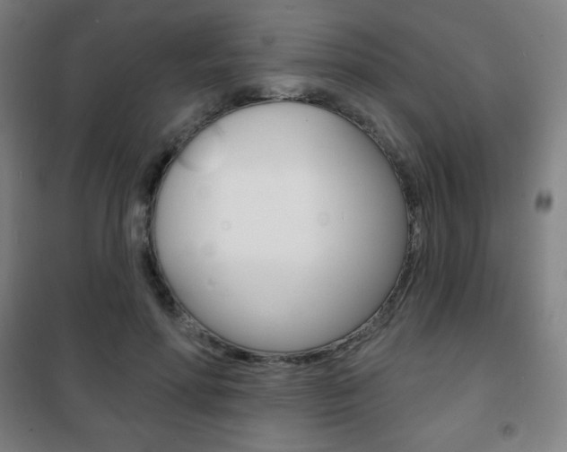 X0000101700598200807101348