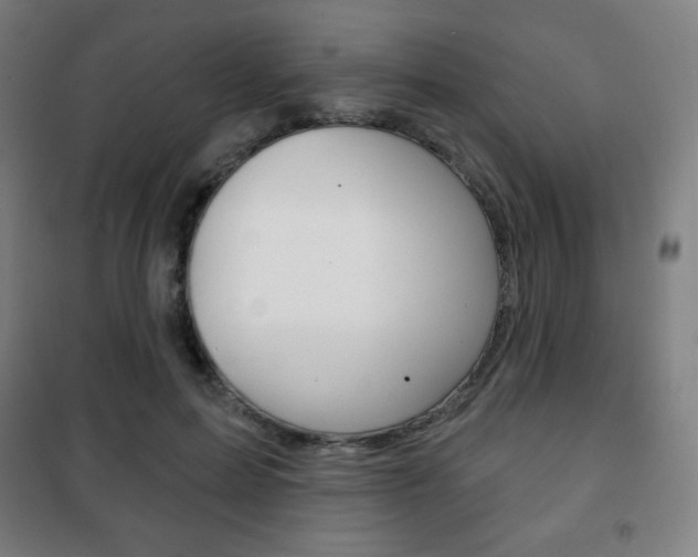 X0000101700599200807101348
