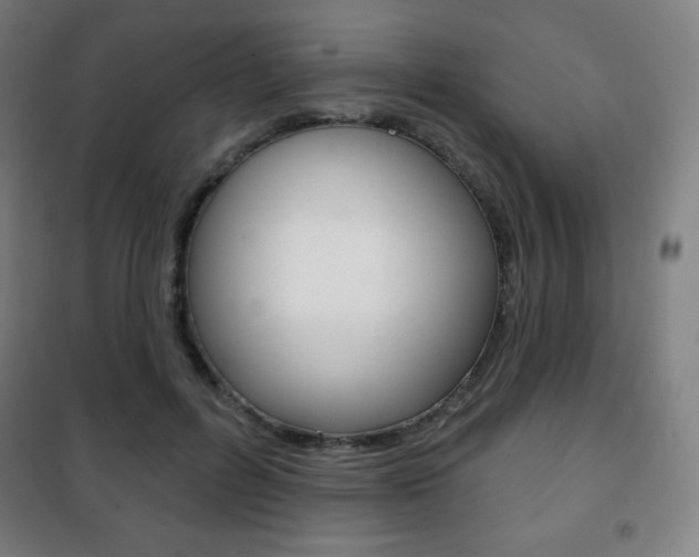 X0000101700600200807101348