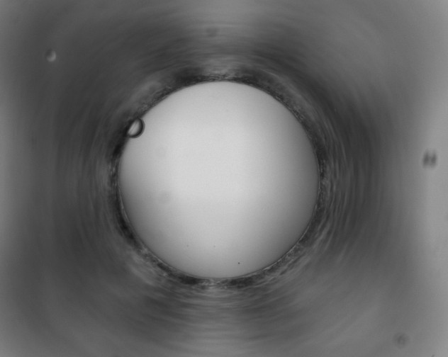 X0000101700601200807101348