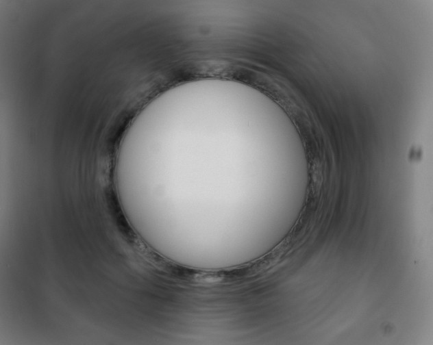 X0000101700602200807101347