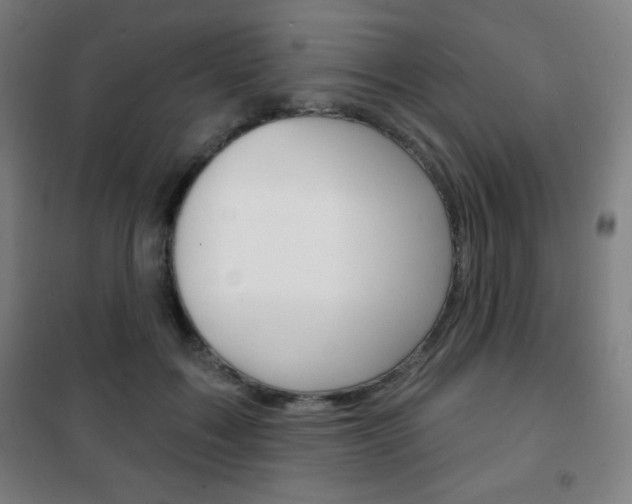 X0000101700603200807101347