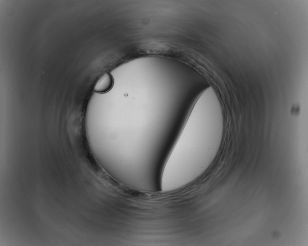 X0000101700604200807101347