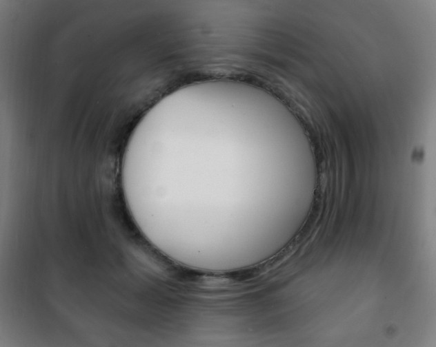 X0000101700605200807101347