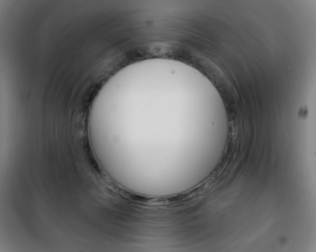 X0000101700606200807101347