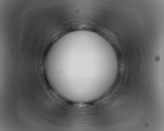 X0000101700607200807101347