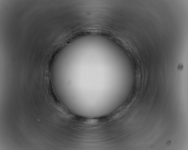 X0000101700609200807101347