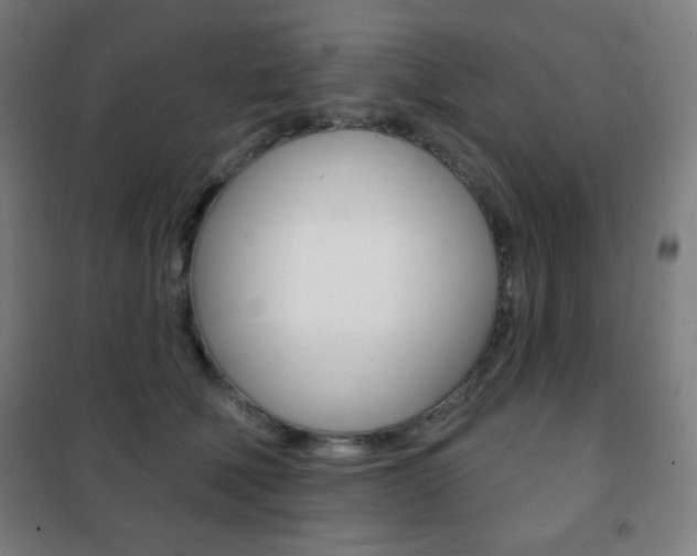 X0000101700610200807101347