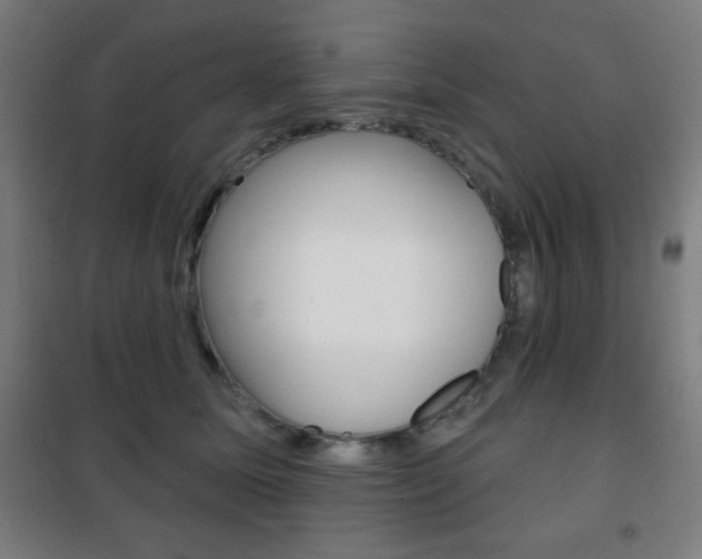 X0000101700611200807101347