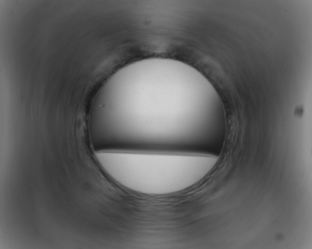 X0000101700612200807101347