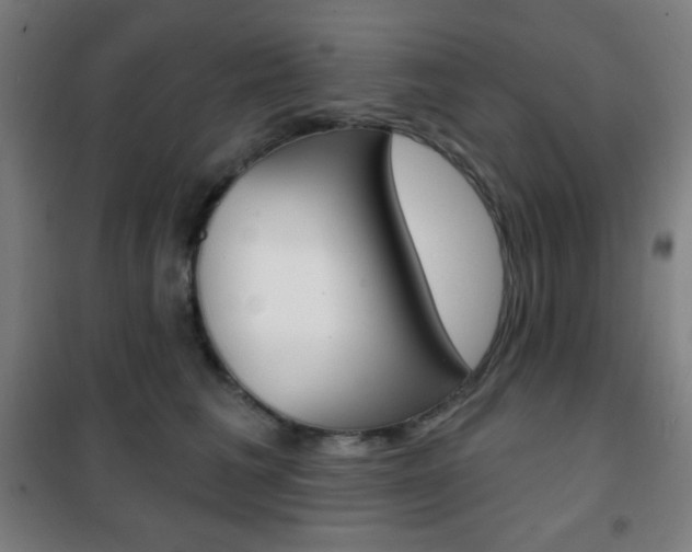 X0000101700613200807101347
