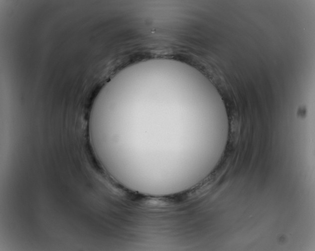 X0000101700614200807101347