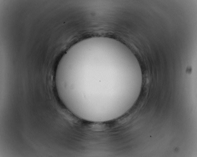 X0000101700615200807101347
