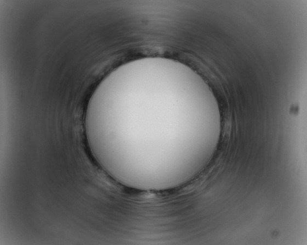 X0000101700616200807101347
