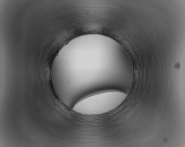 X0000101700617200807101347