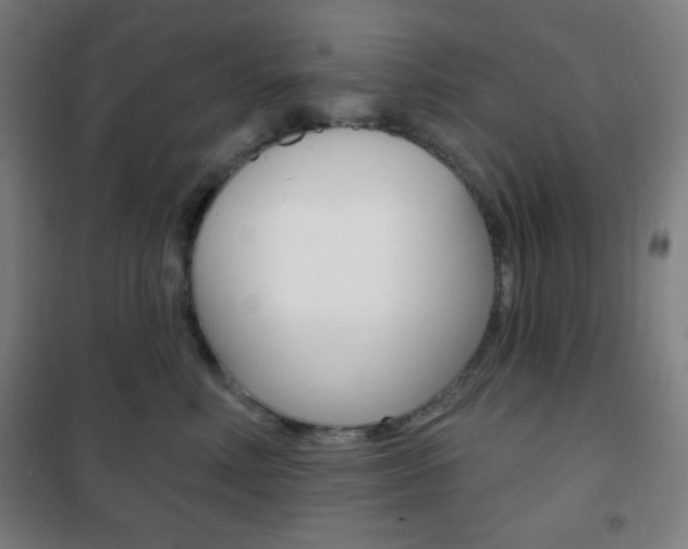 X0000101700618200807101347