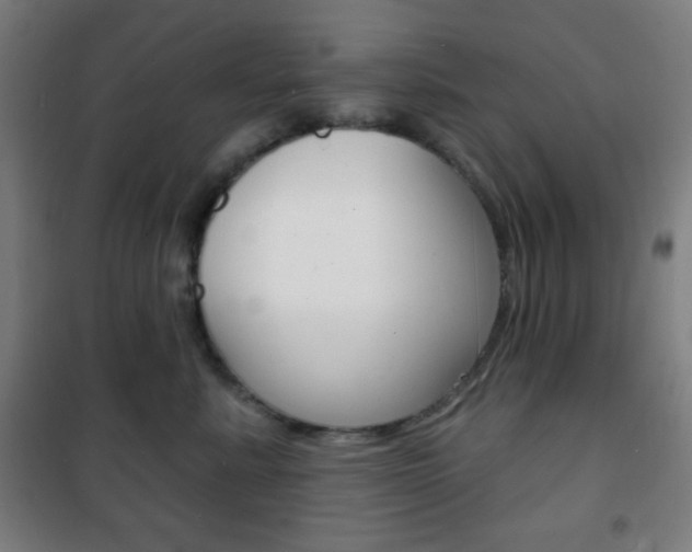 X0000101700619200807101347