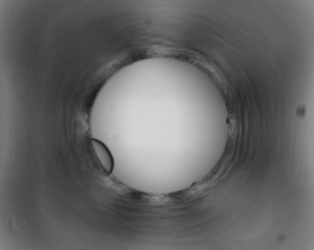 X0000101700621200807101347